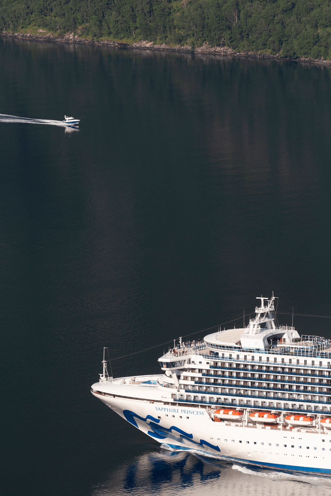 Sapphire_Princess_leaving_Geiranger_Fjord_018
