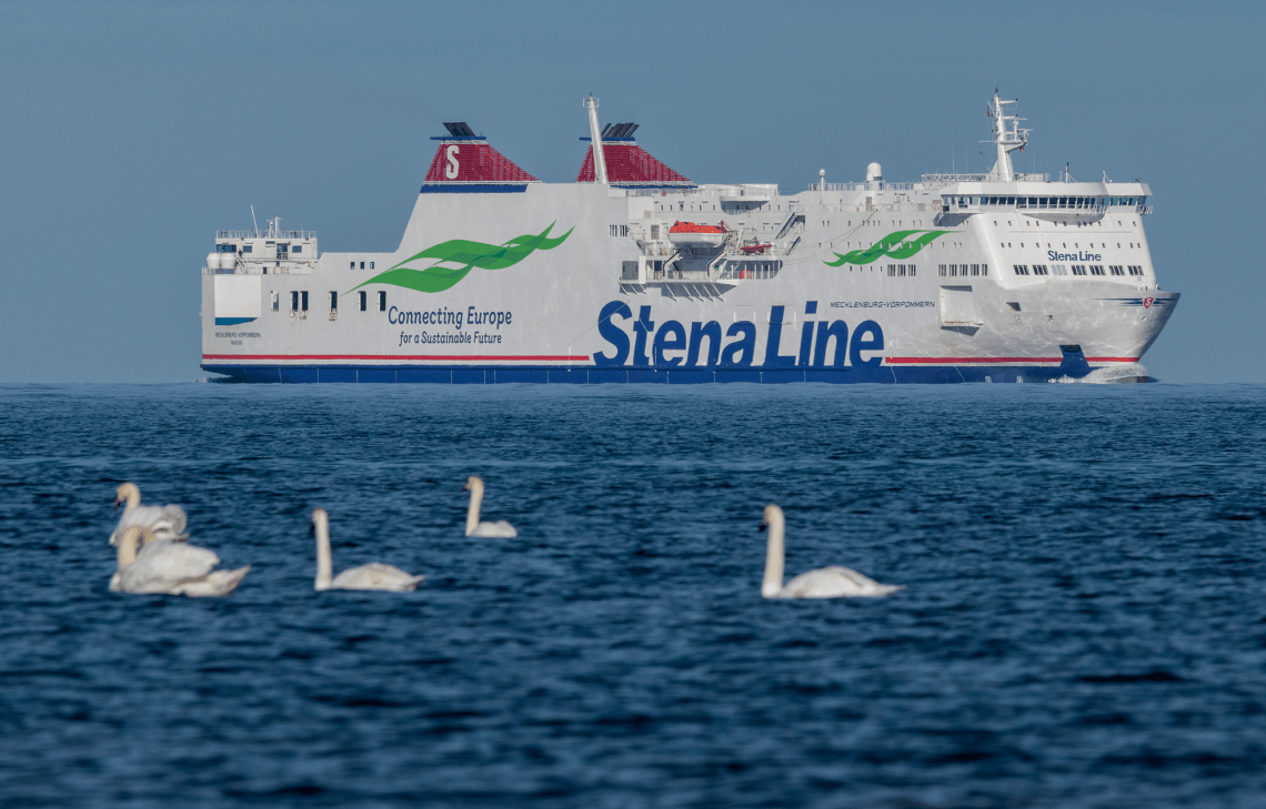 Mecklenburg-Vorpommern_off_Moen_010